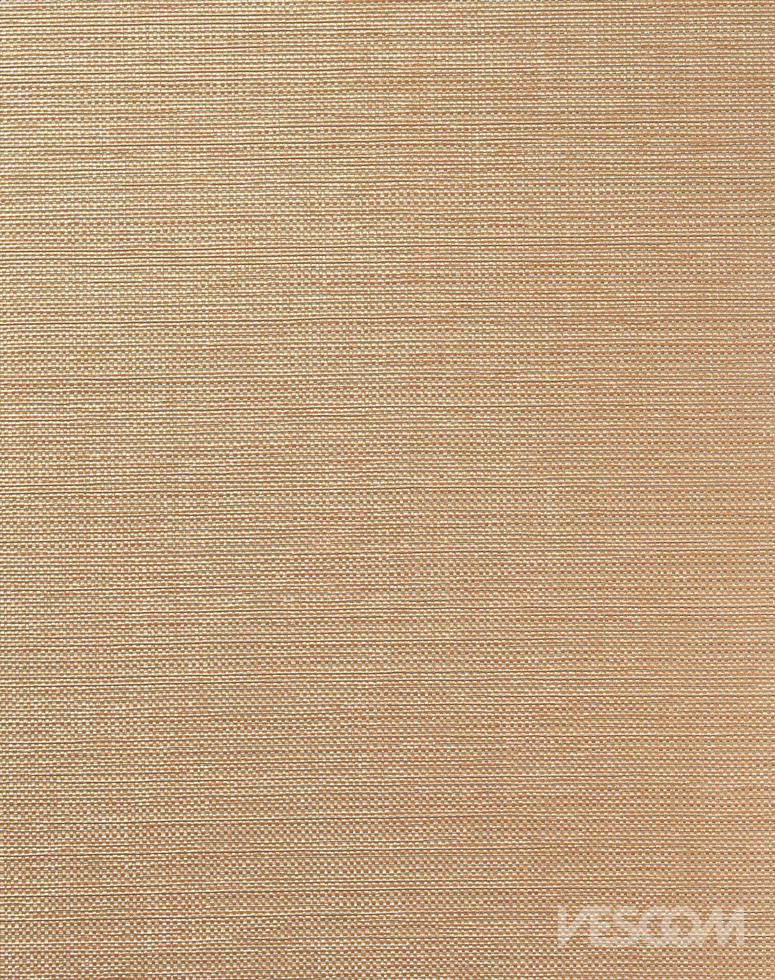 255300