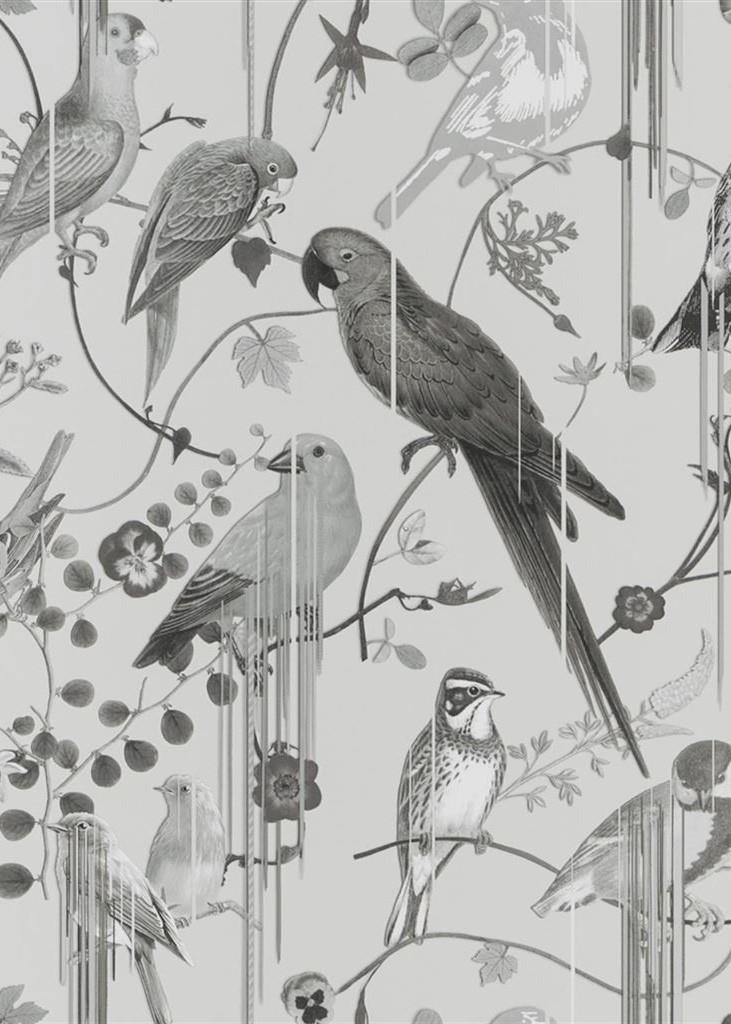 Ted Baker Antiquity Wallpaper