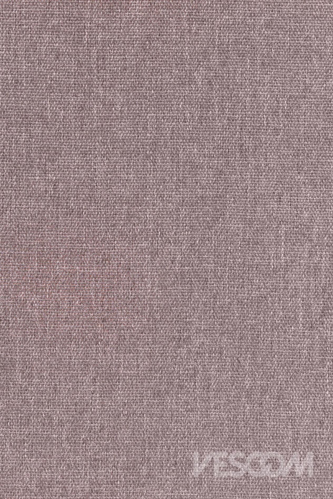 8081-04