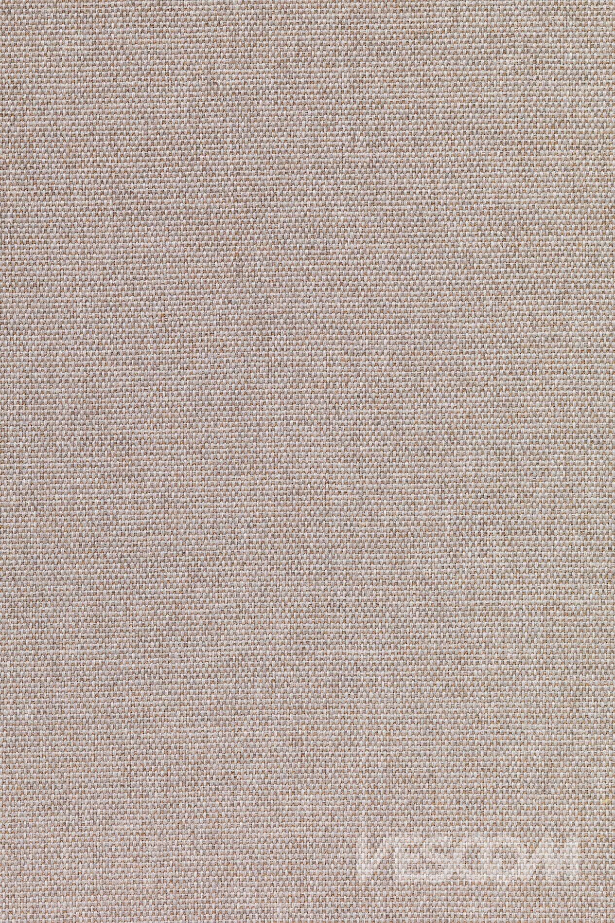 8081-09