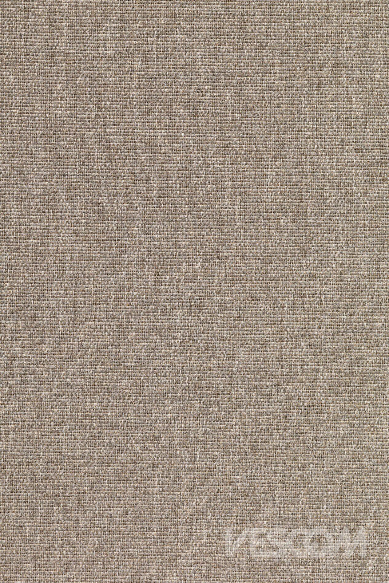 8081-10