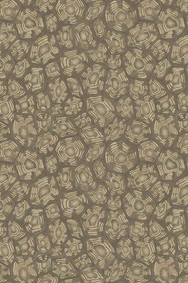 Cole-Son-Savanna-Shell-Wallpaper-119-4020.jpg