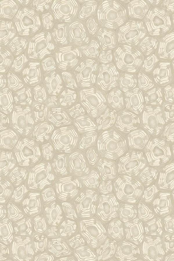 Cole-Son-Savanna-Shell-Wallpaper-119-4021.jpg