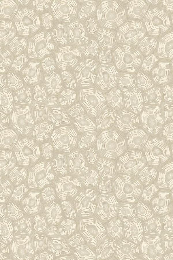 Cole-Son-Savanna-Shell-Wallpaper-119-4021.jpg