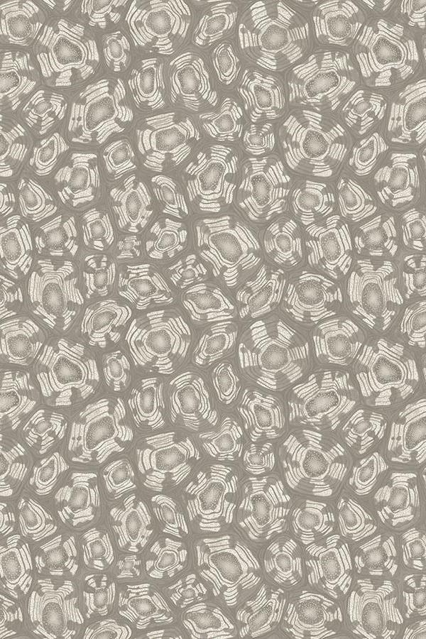 Cole-Son-Savanna-Shell-Wallpaper-119-4022.jpg