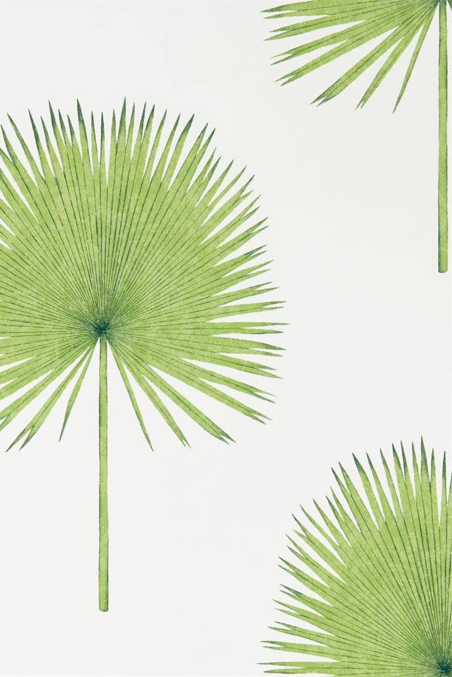 sanderson-glasshouse-fan-palm-wallpaper-dglw216636