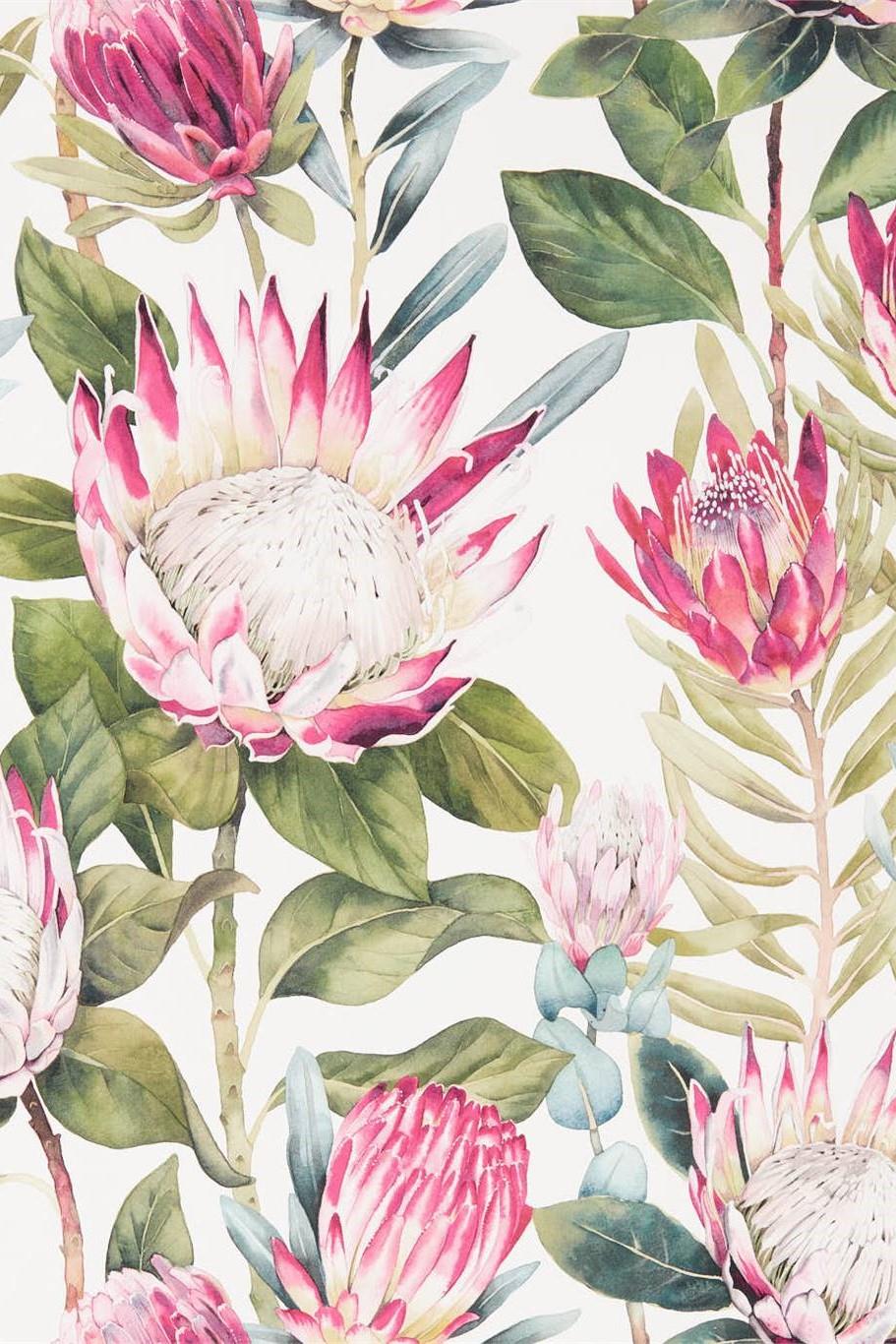 sanderson-glasshouse-king-protea-wallpaper-dglw216646