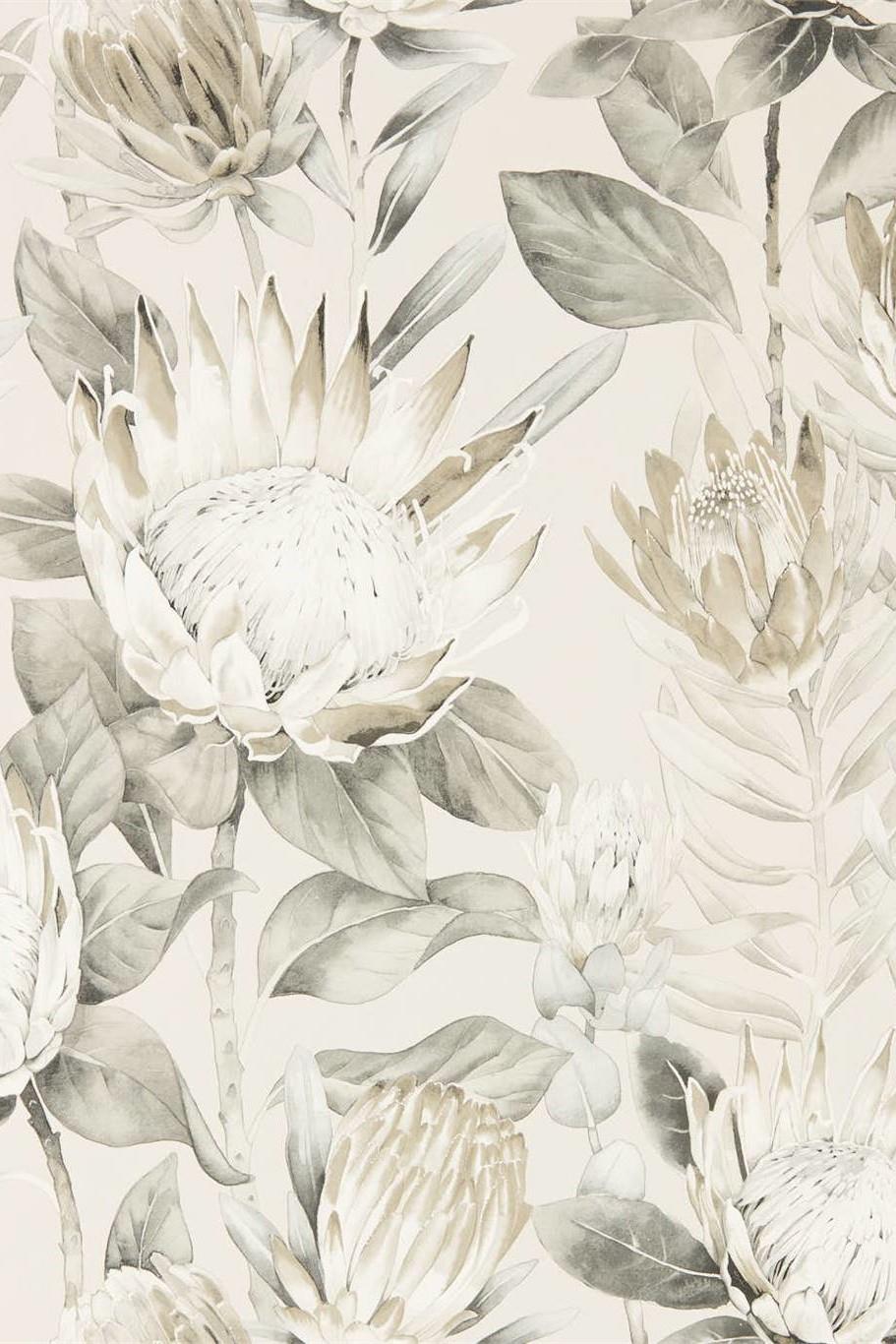 sanderson-glasshouse-king-protea-wallpaper-dglw216647