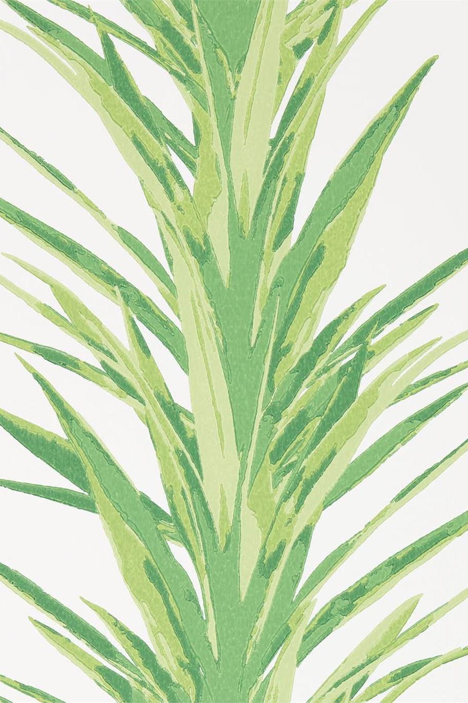 sanderson-glasshouse-yucca-wallpaper-dglw216649