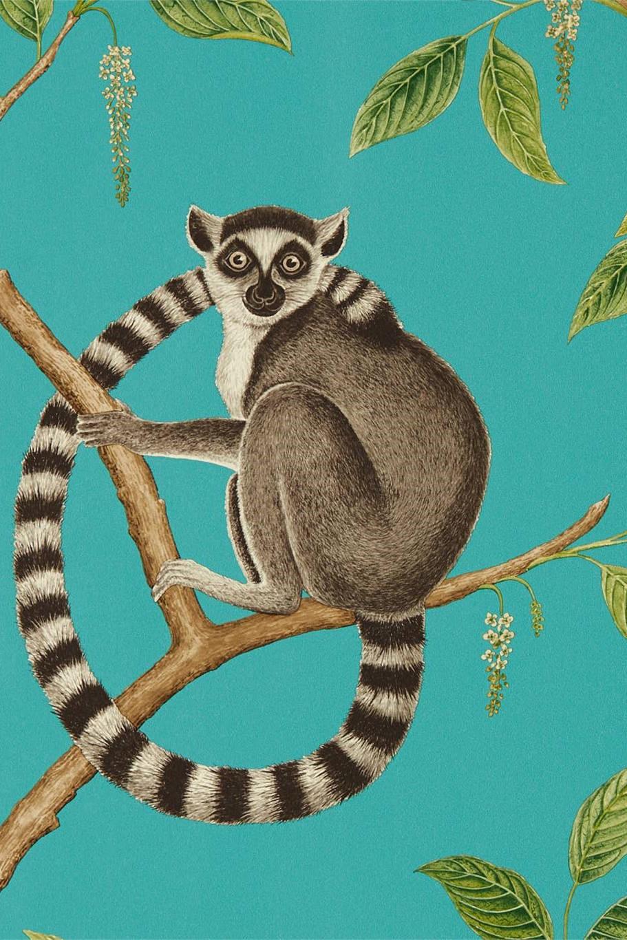 sanderson-glasshouse-ringtailed-lemur-wallpaper-dglw216663