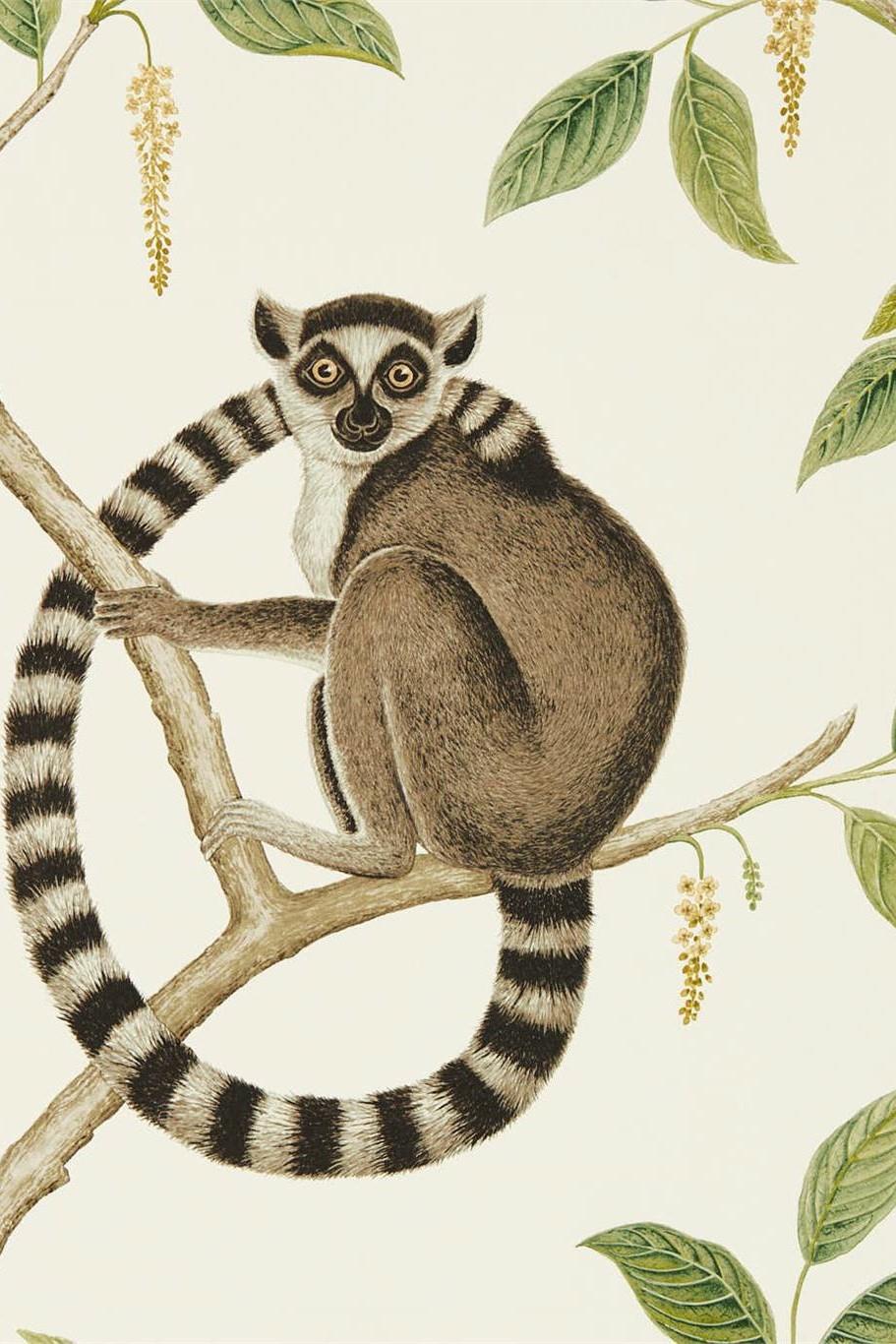 sanderson-glasshouse-ringtailed-lemur-wallpaper-dglw216664