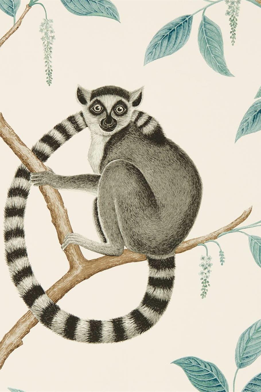 sanderson-glasshouse-ringtailed-lemur-wallpaper-dglw216665