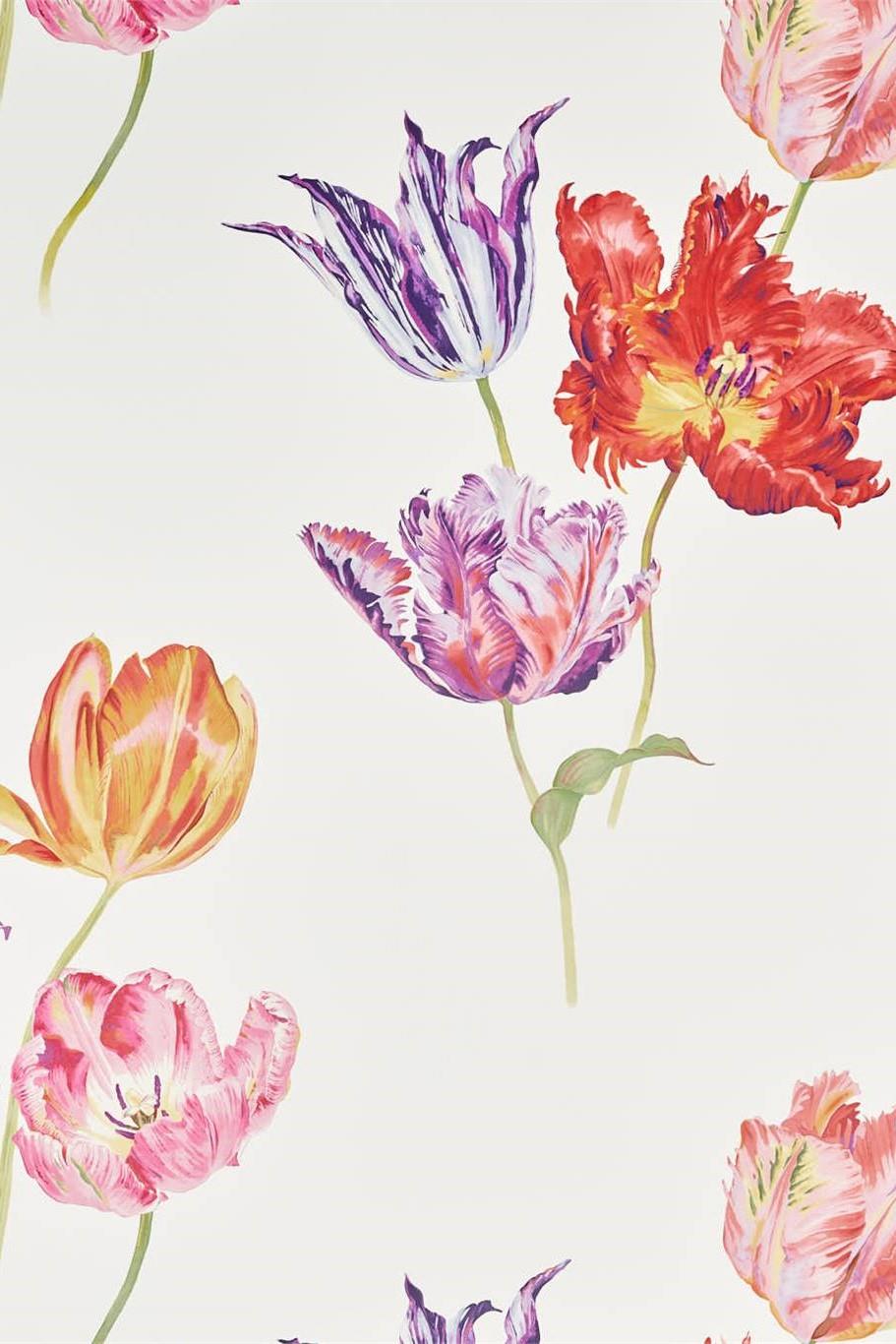 sanderson-glasshouse-tulipomania-wallpaper-dglw216666