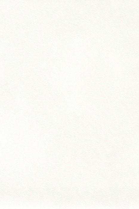 newmor-peloso-wallcovering-pel-006