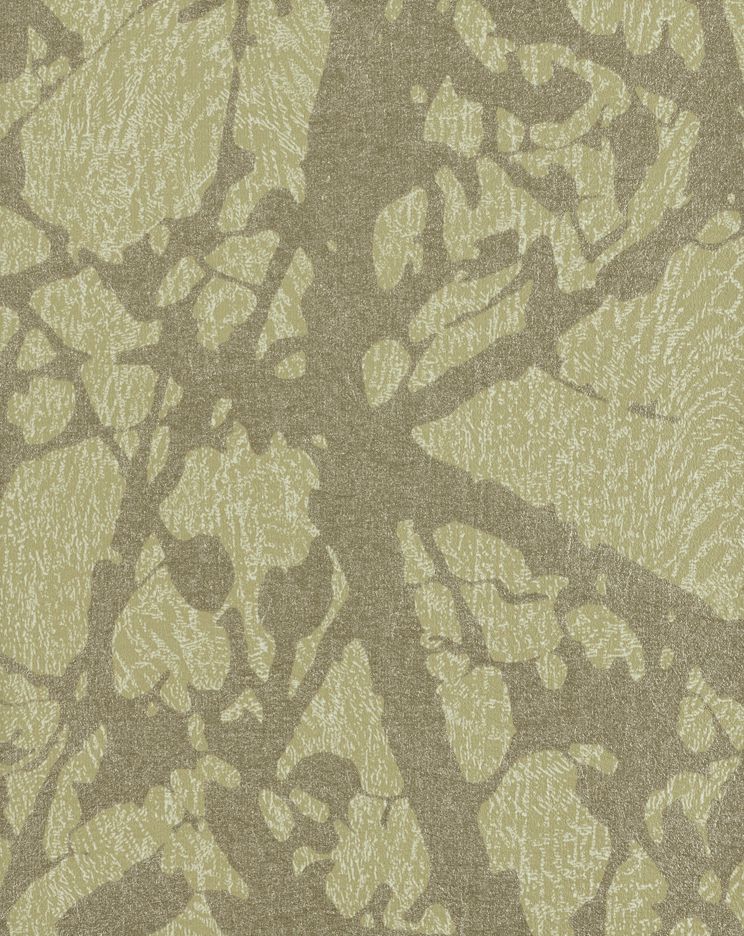 canopy-46842.jpg