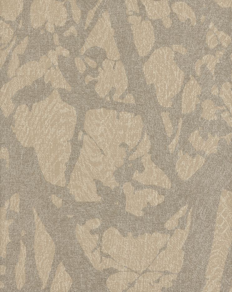 canopy-46844.jpg