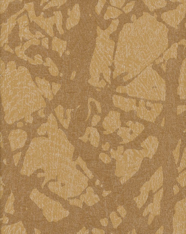 canopy-46845.jpg