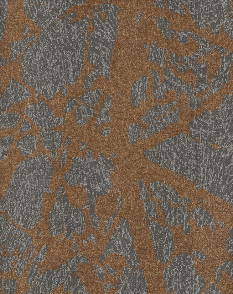 canopy-46848.jpg