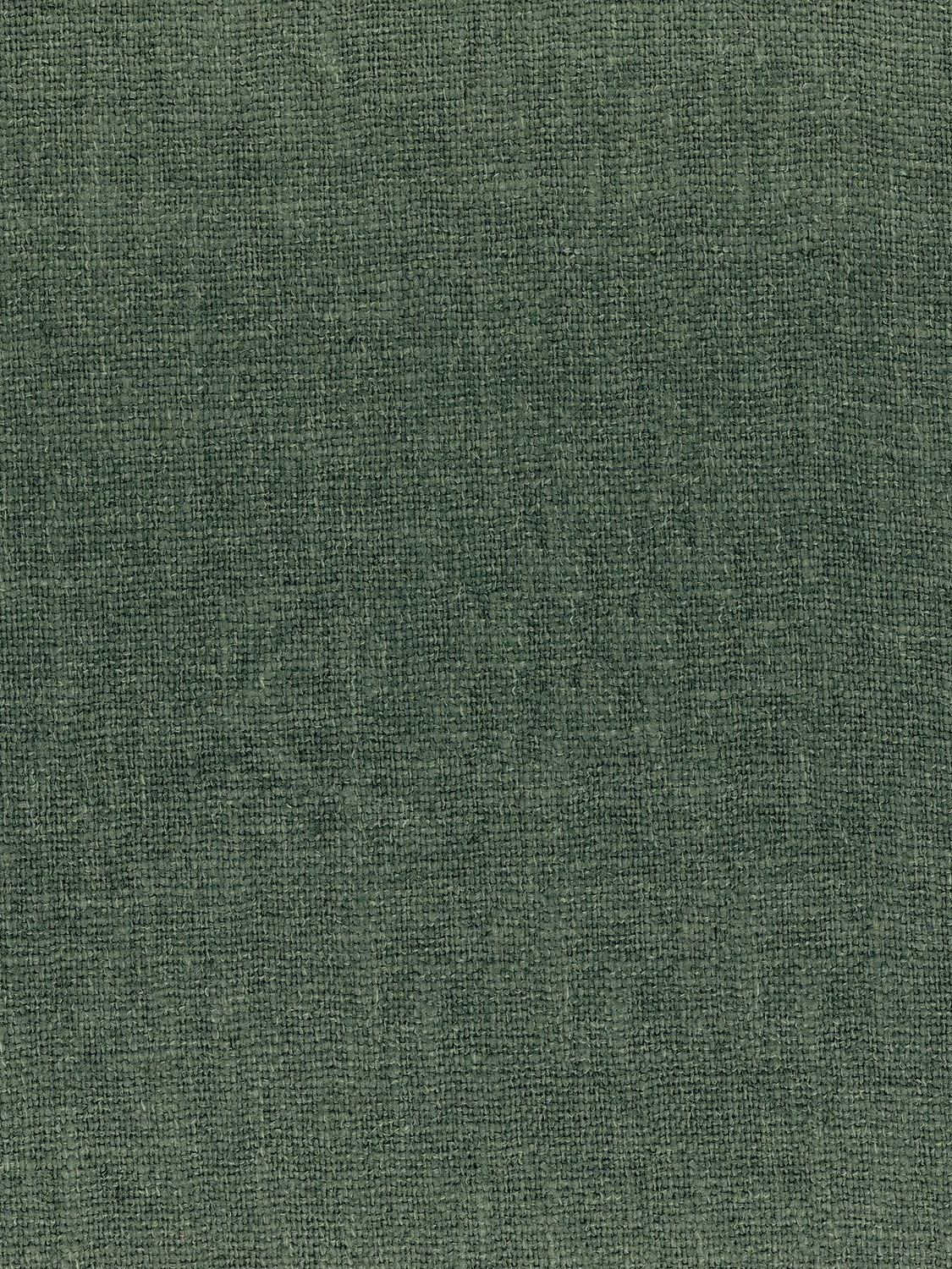 48881892