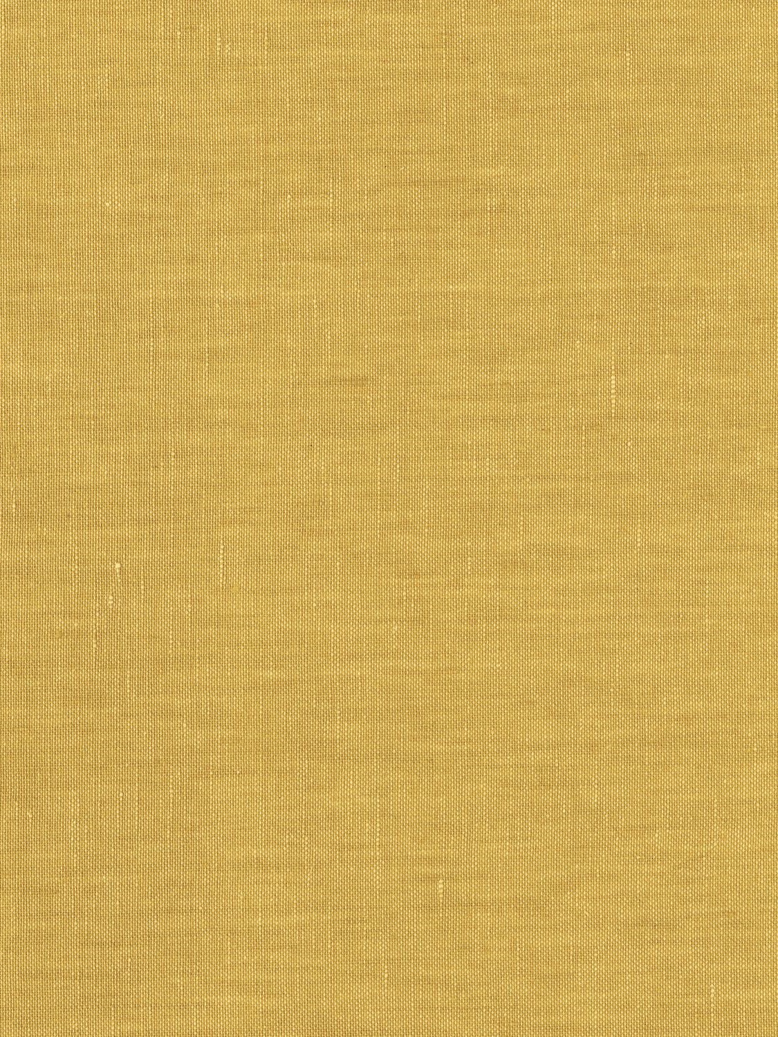 71383884