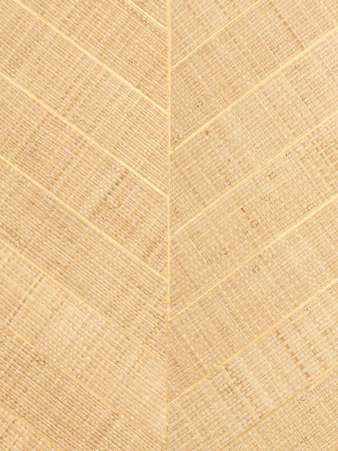 71250101