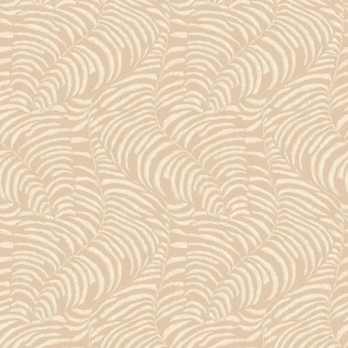 76591528
