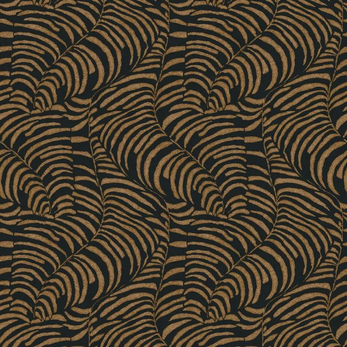 76592038