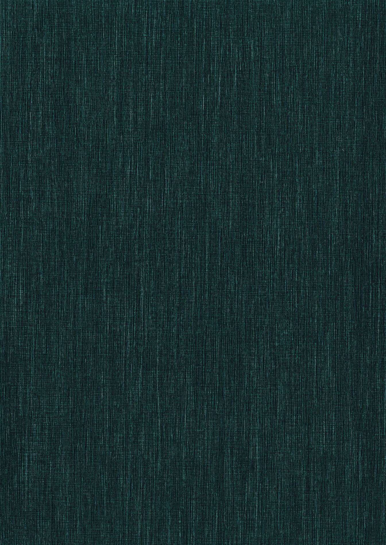 cas113