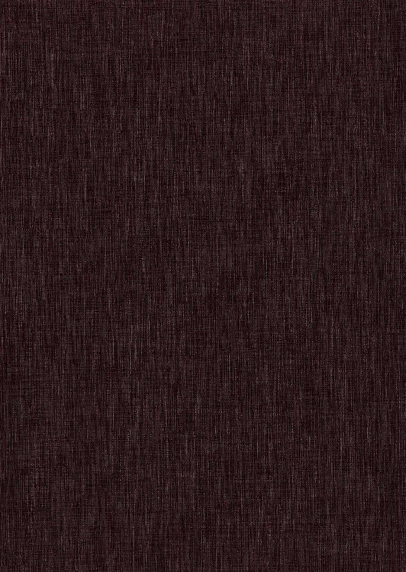 cas119