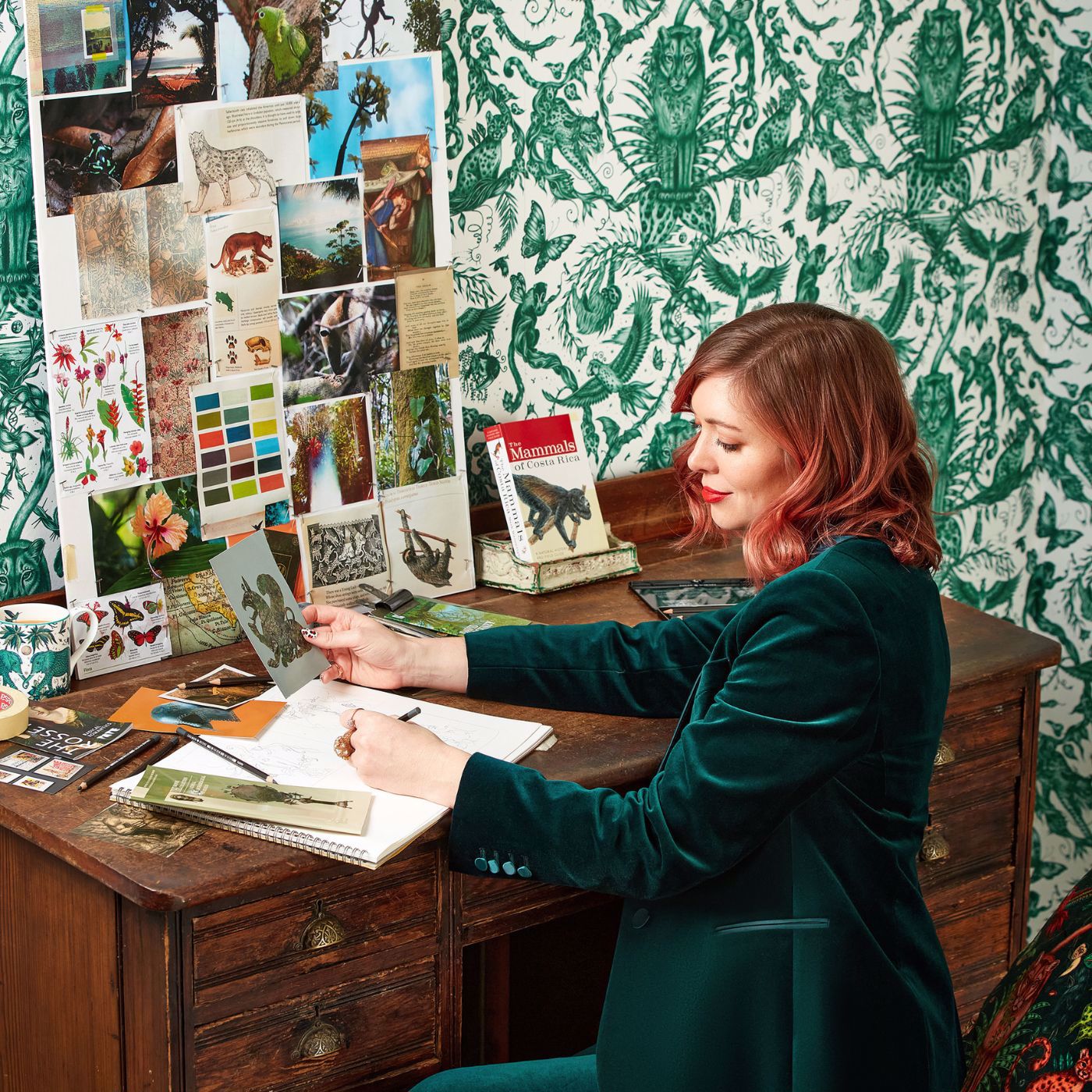 Clarke &amp; Clarke Bosque Dreams Wallcovering