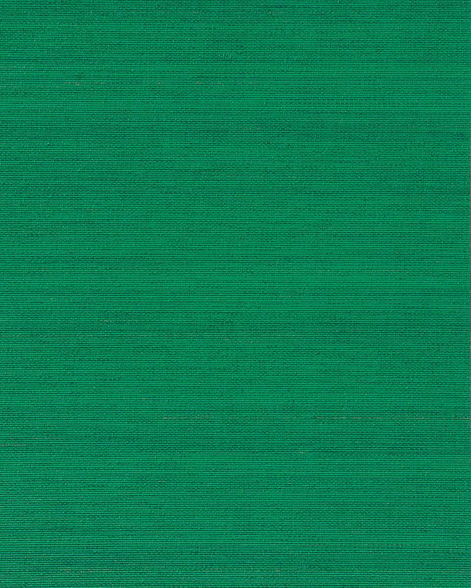 dynsk37