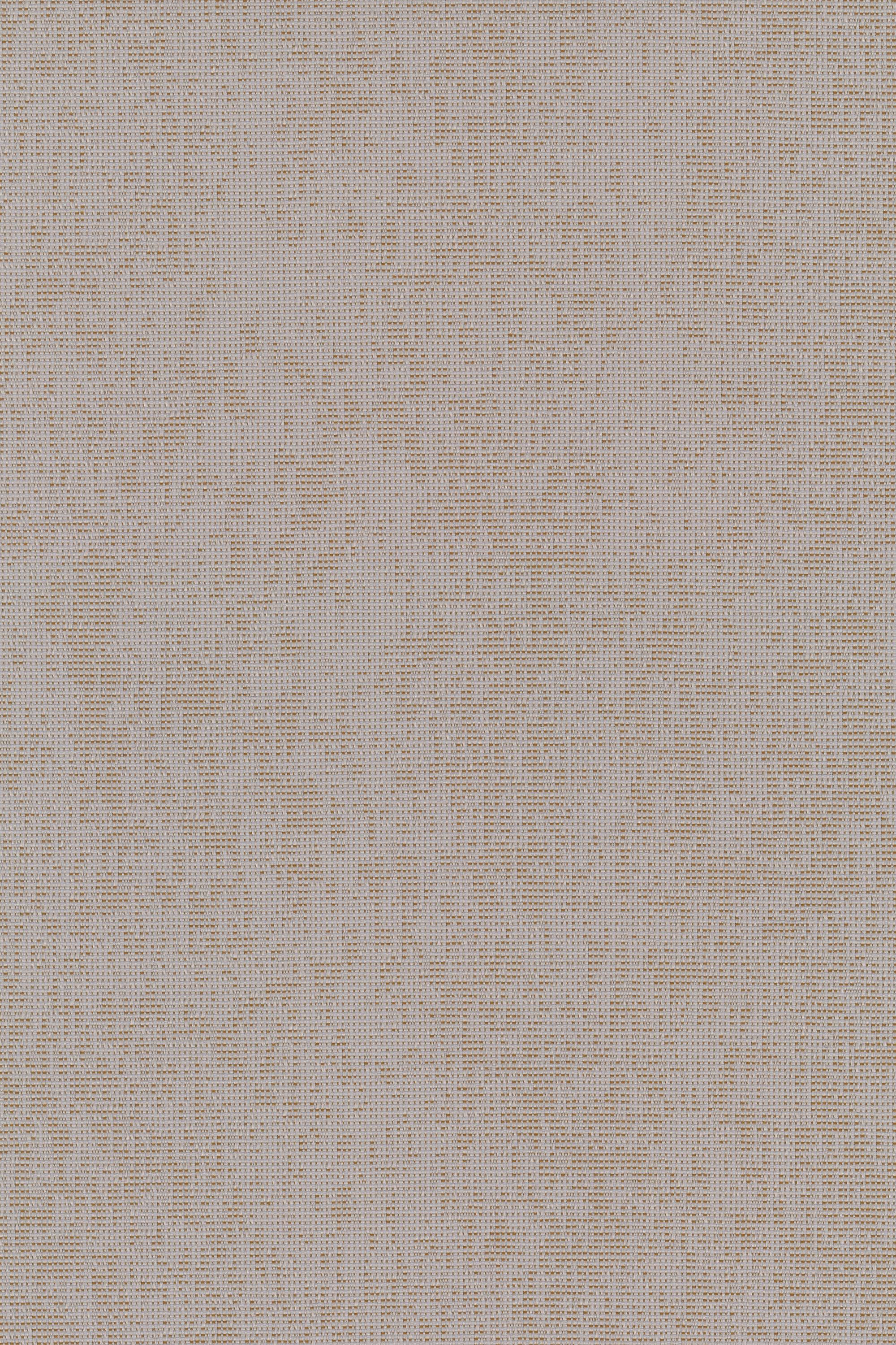 231