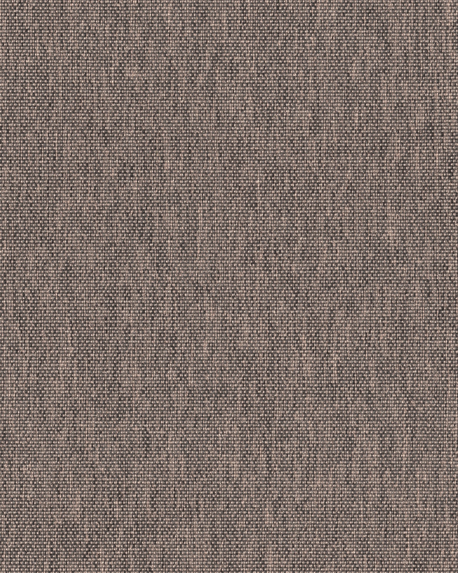 T0231