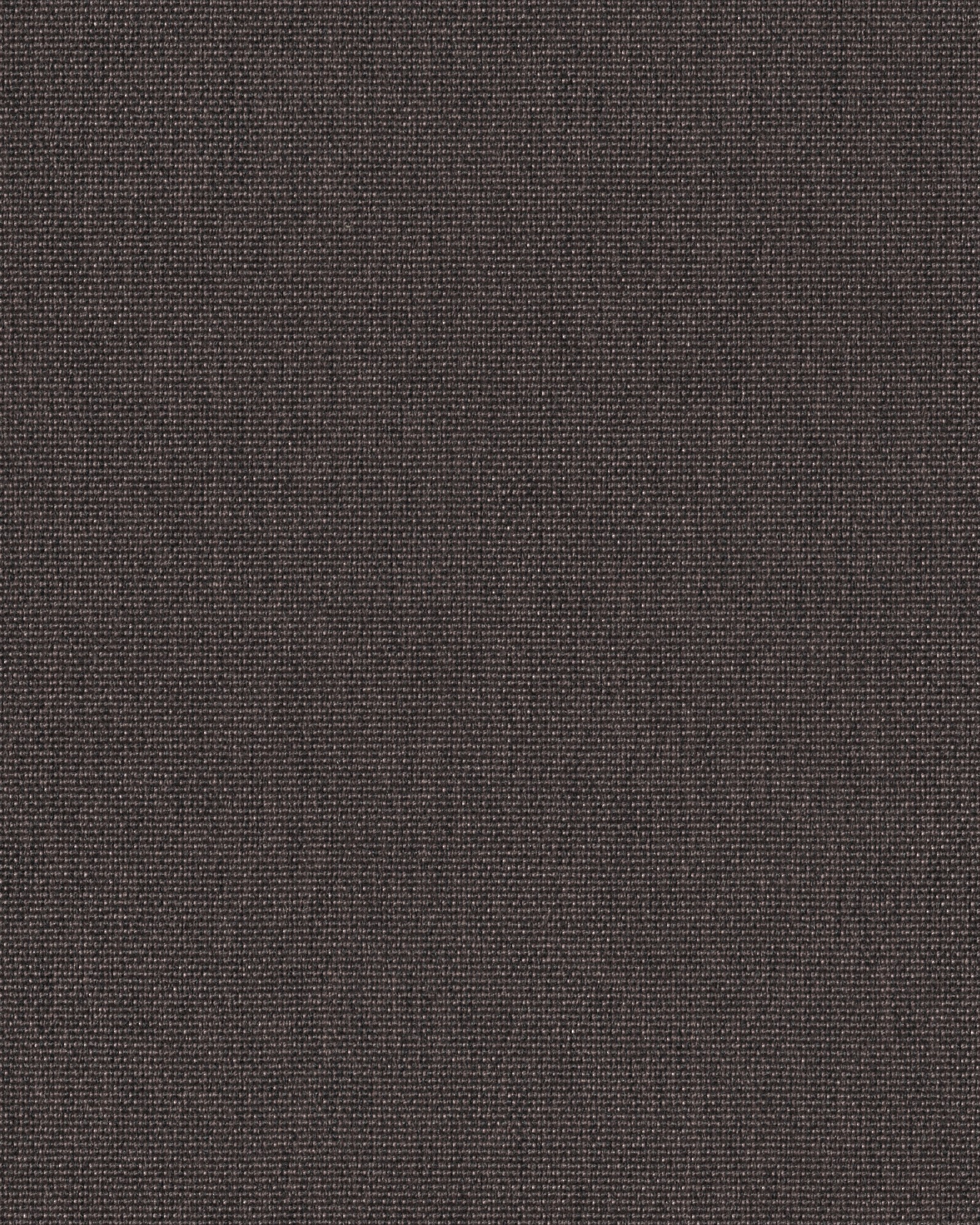 381