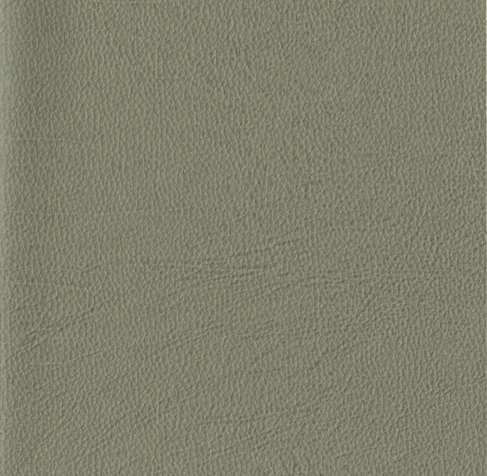 TAN008