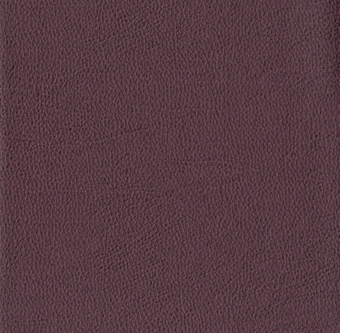 TAN012