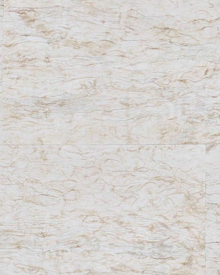 CAS21