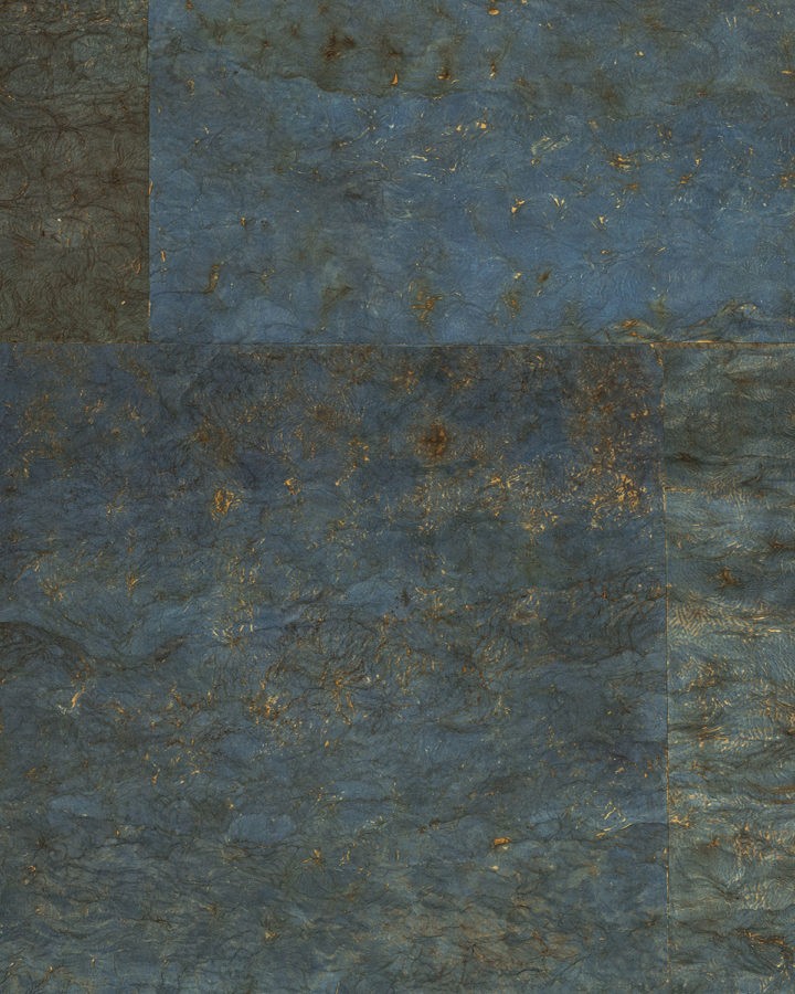 CAS25