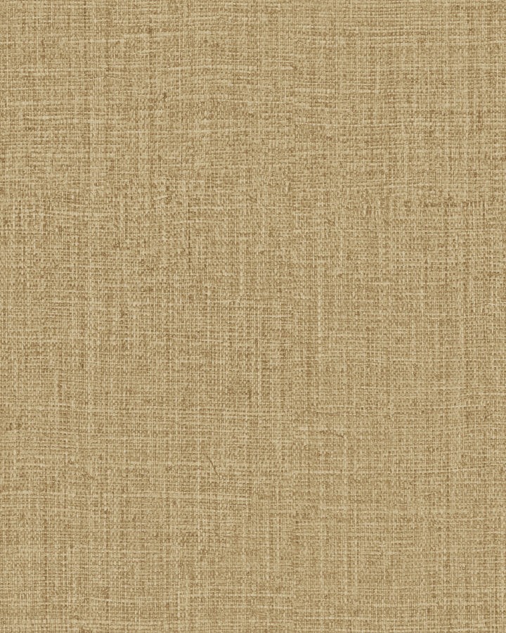 INT243