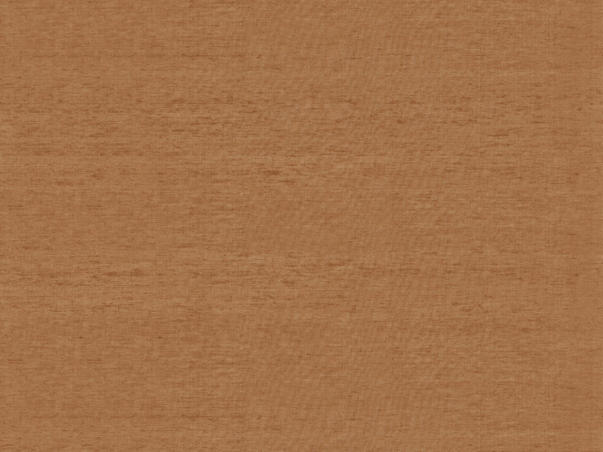 LAN232