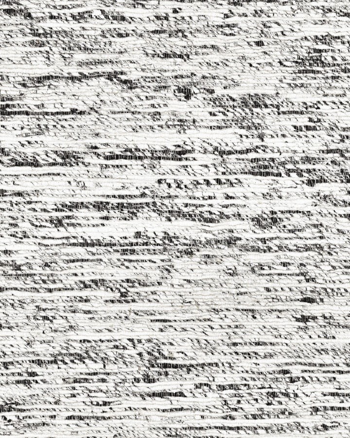 LS206