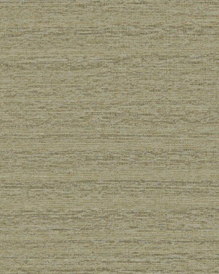 LS207