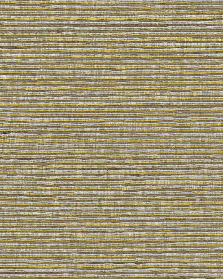 LS209