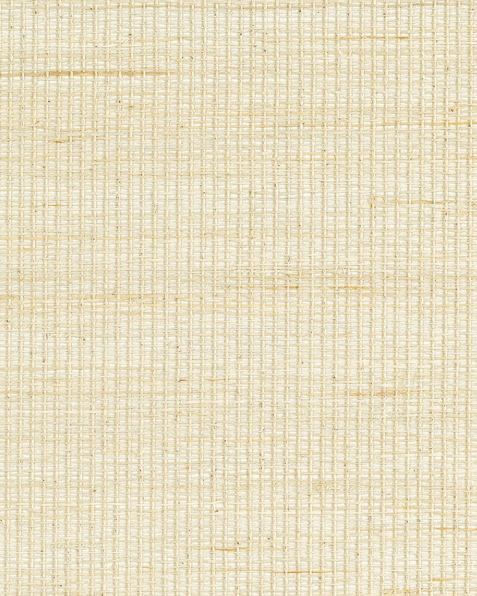 BW31700