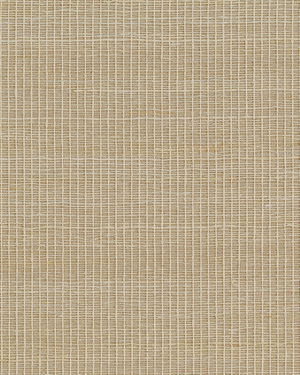 BW31701