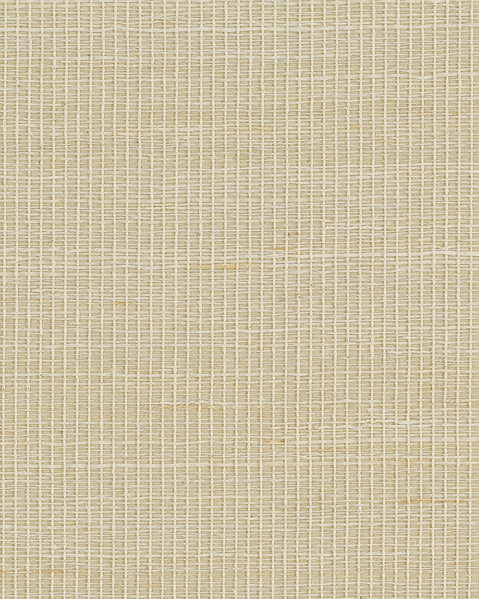 BW31703