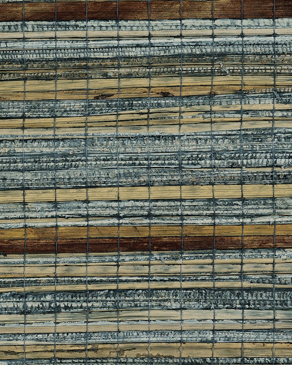32005