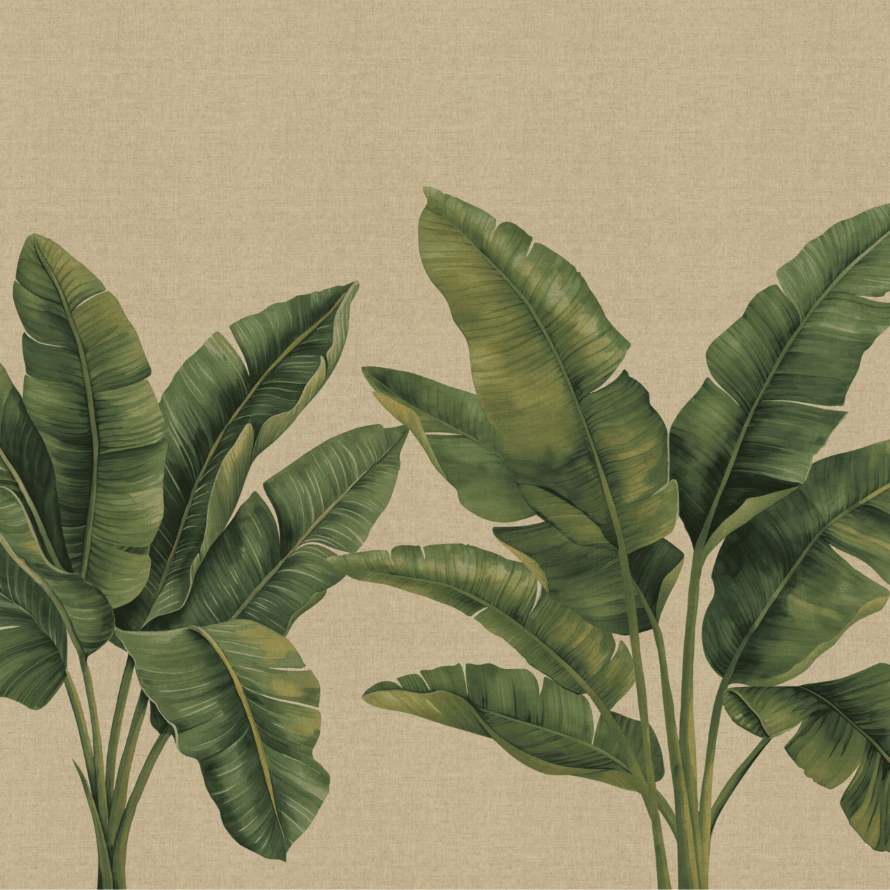 Phillip Jeffries Palmera Wallcovering 31003