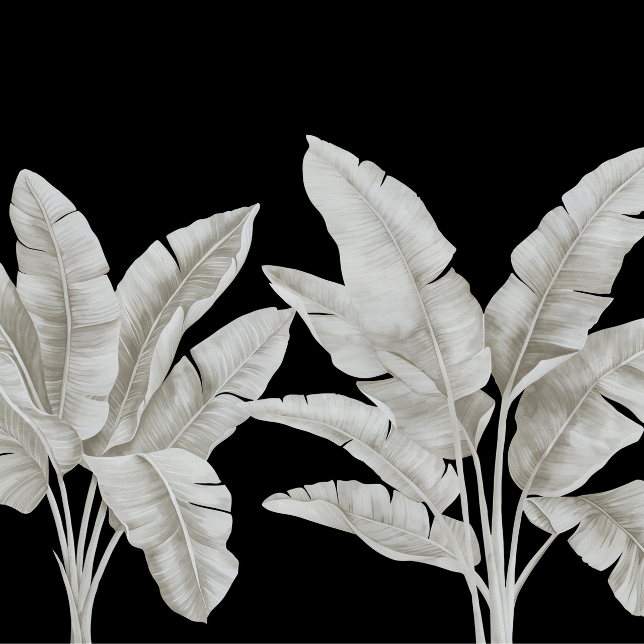 Phillip Jeffries Palmera Wallcovering 31008