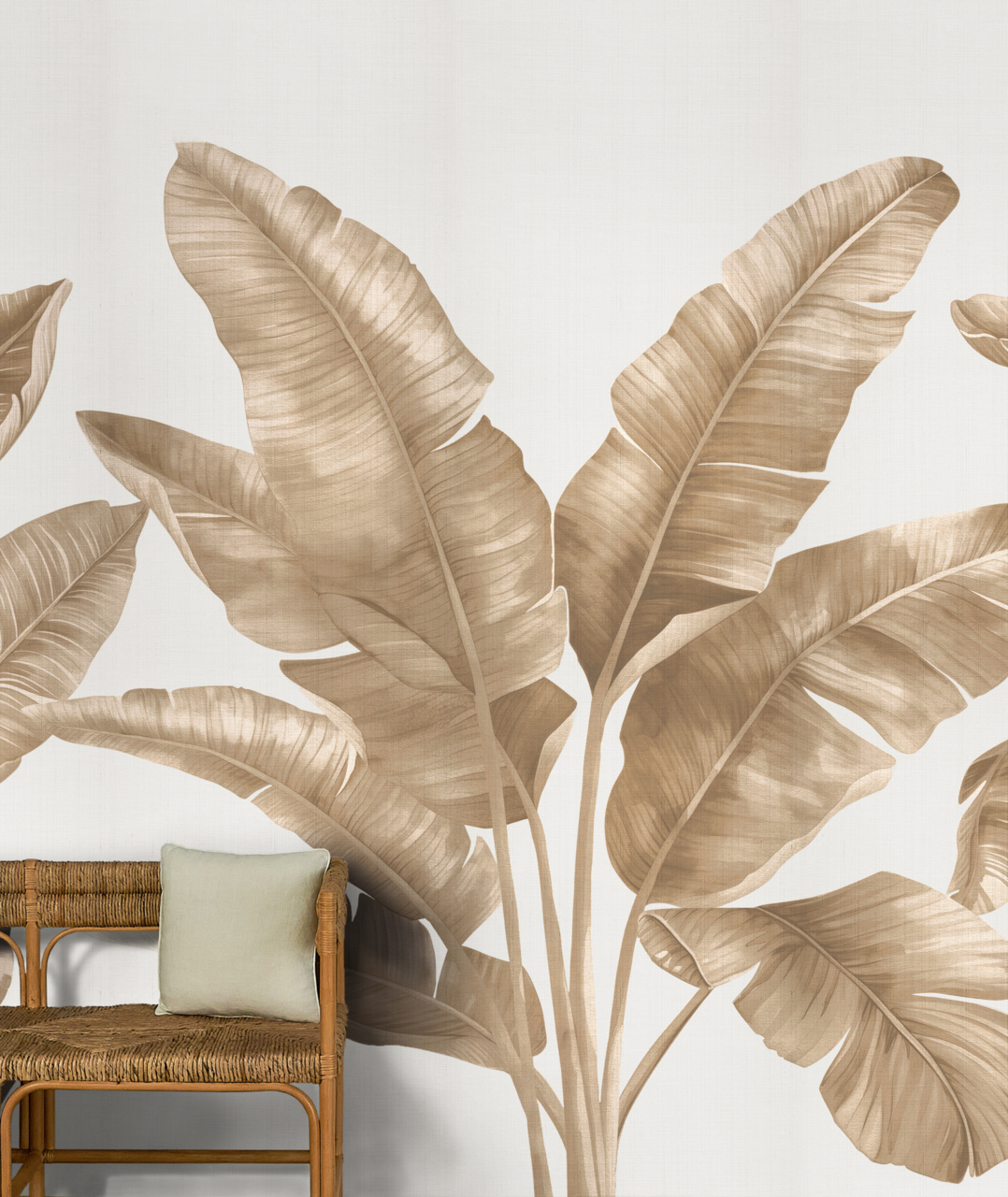 Palmera